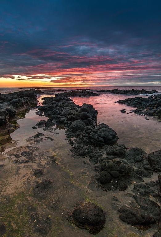 Harbour Heights B&B Portrush Dış mekan fotoğraf