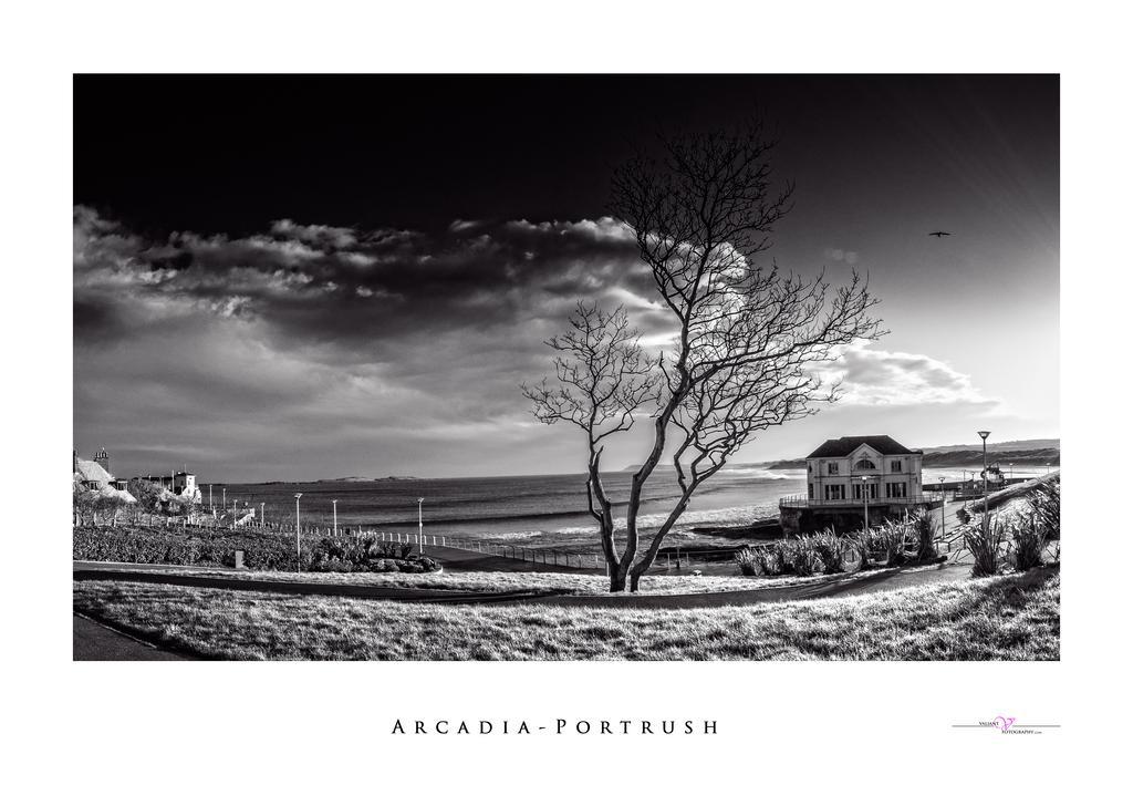 Harbour Heights B&B Portrush Dış mekan fotoğraf