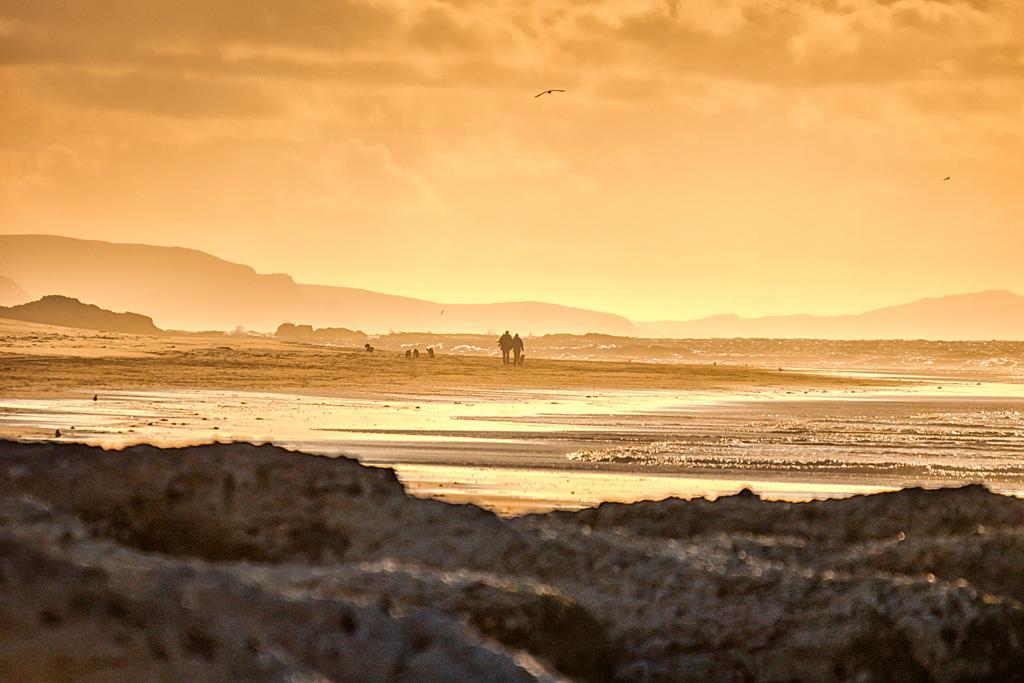 Harbour Heights B&B Portrush Dış mekan fotoğraf